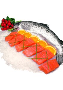 Salmon raw food