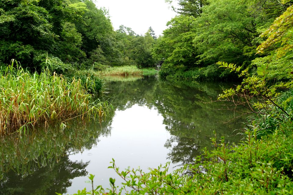 Kumoba-ike - Karuizawa, Japan - DSC02208