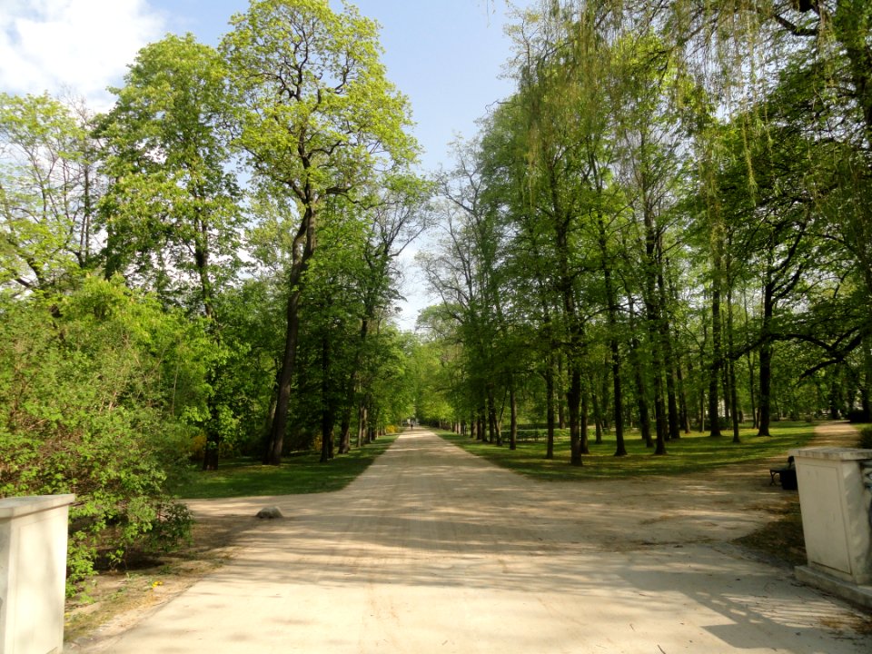 Kwiecień 2019 Łazienki, 12
