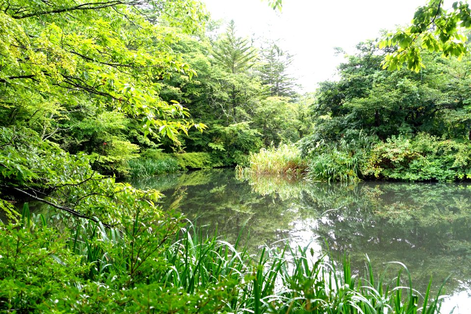 Kumoba-ike - Karuizawa, Japan - DSC02199