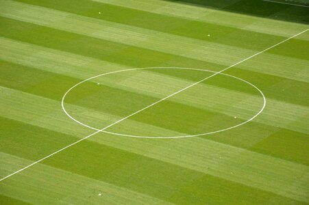 Turf fans club