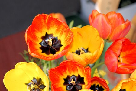 Spring tulip bouquet colorful
