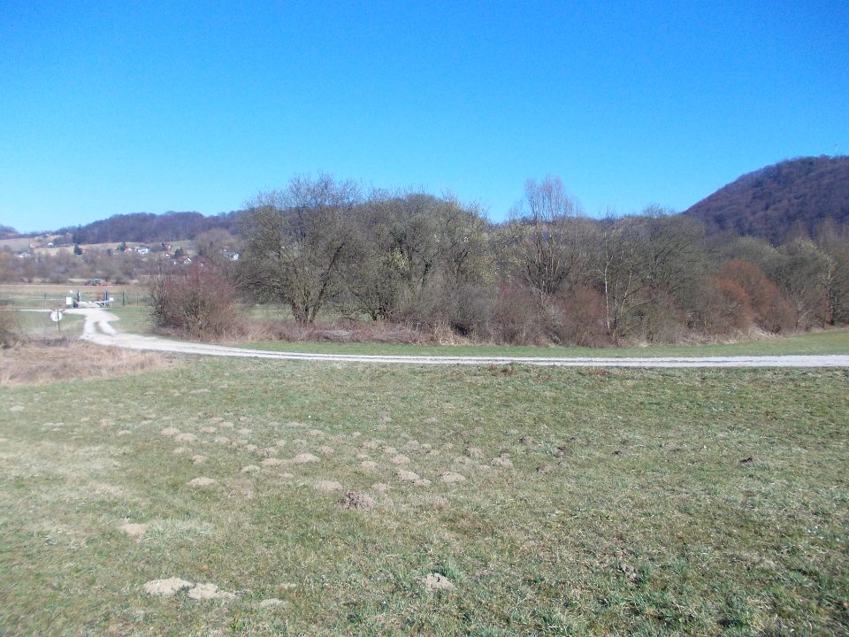 Kunšperk 15