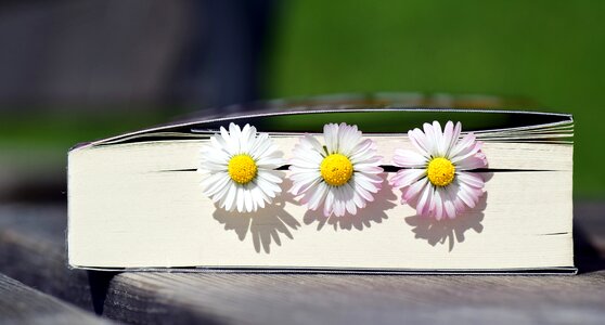Book pages paper spring