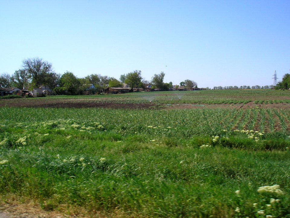 KrPolyana 4