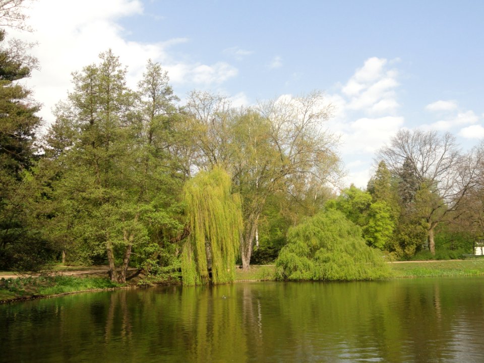 Kwiecień 2019 Łazienki, 15