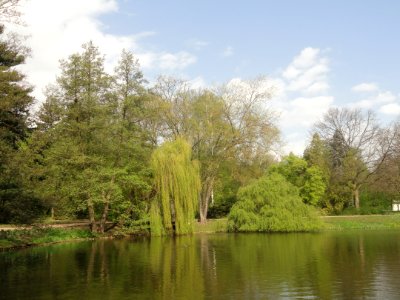 Kwiecień 2019 Łazienki, 15