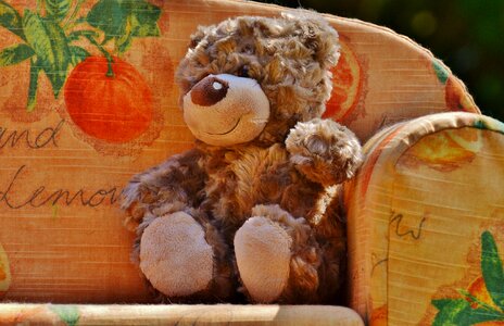 Teddy bear cute child photo