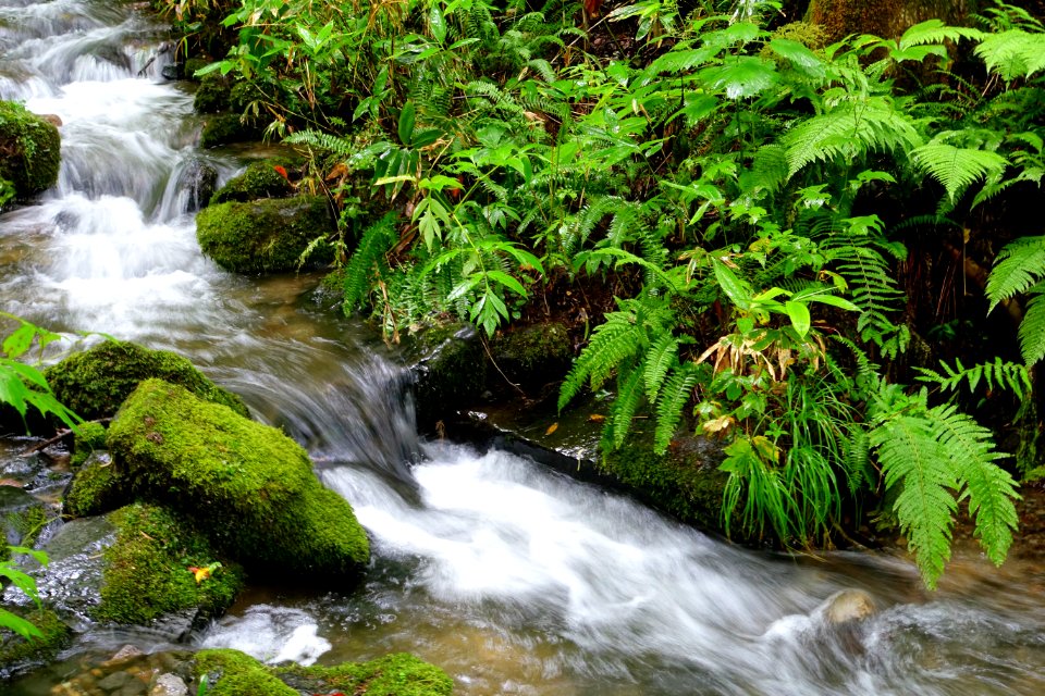 Kumoi Falls - Oirase Mountain Stream - Towada, Aomori - DSC01216