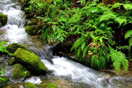Kumoi Falls - Oirase Mountain Stream - Towada, Aomori - DSC01216