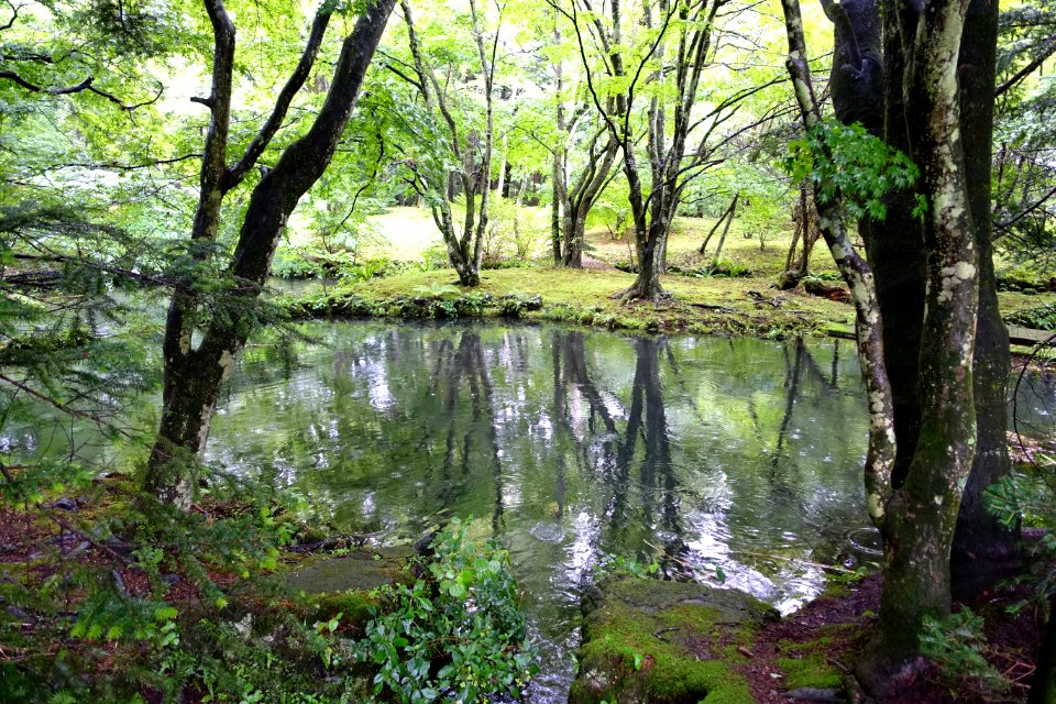 Kumoba-ike - Karuizawa, Japan - DSC02210