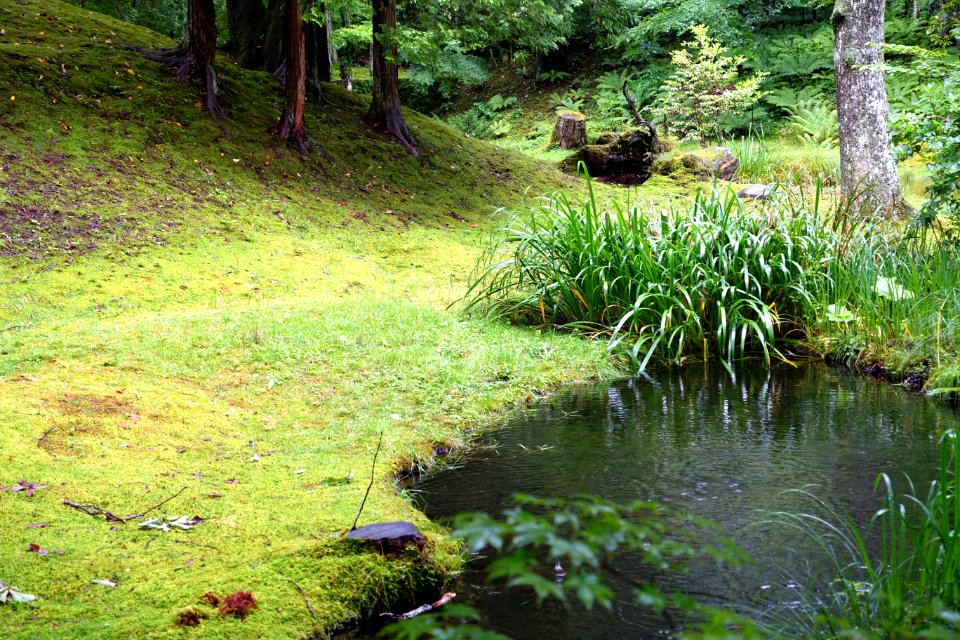 Kumoba-ike - Karuizawa, Japan - DSC02137