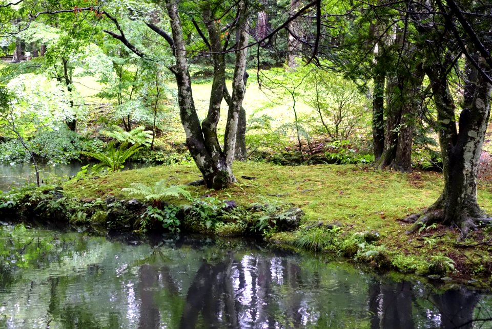 Kumoba-ike - Karuizawa, Japan - DSC02213