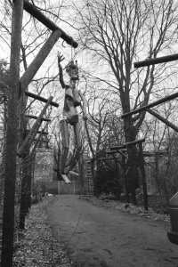 Kunstenaarsproject in Haagse Zuiderpark, Kunst aan de Galg tegen stopzetting B, Bestanddeelnr 933-8514