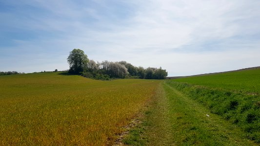 Kunrade-Kalkoven Kasteel Haren (17)