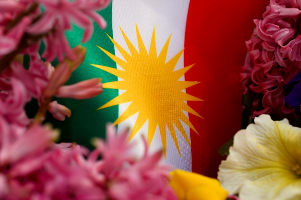 Kurdish flag with flowers 08