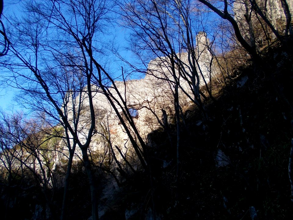 Kunšperk Castle 40