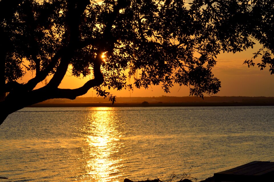Night beauty orange