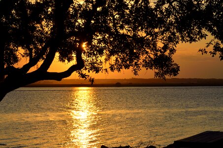 Night beauty orange photo