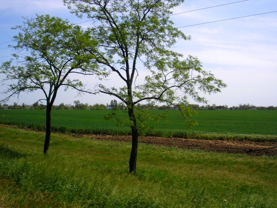 Kuntsevo (Crimea) 1
