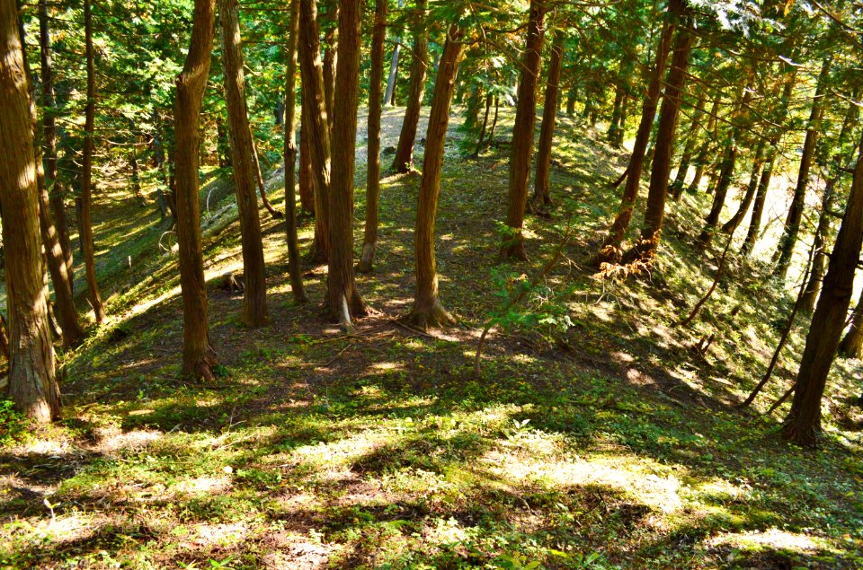 Kurobe Choshiyama Kofun, zenpoubu