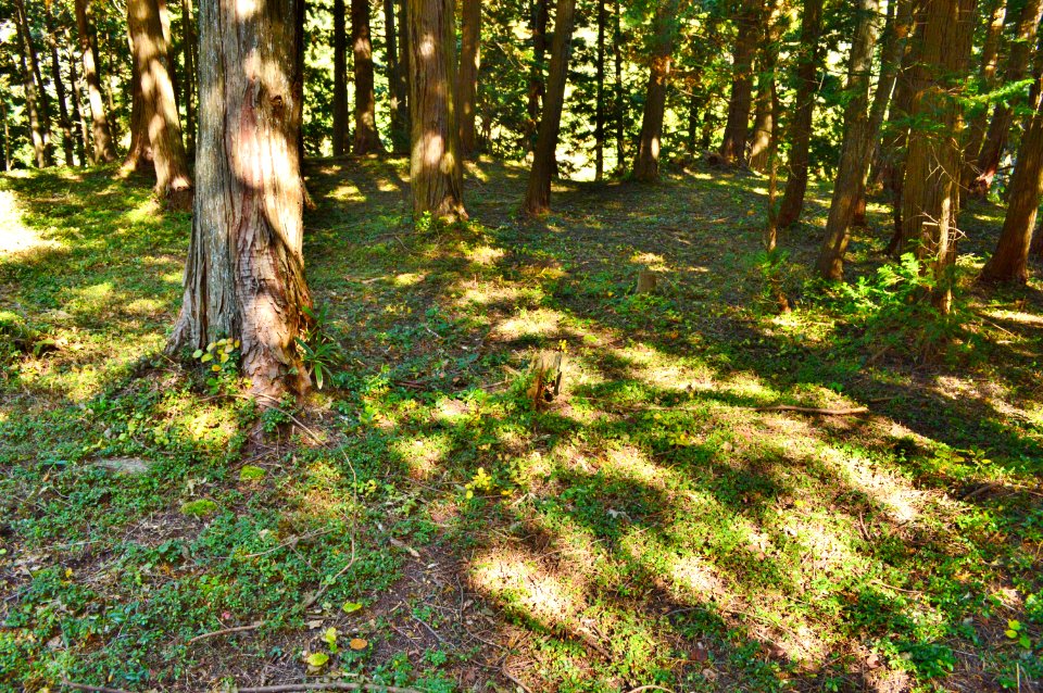 Kurobe Choshiyama Kofun, funchou