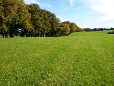 Kurfürstenallee