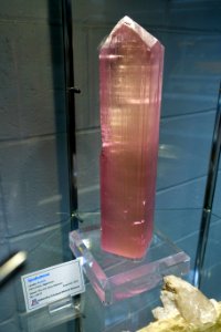 Kunzite (Spodumene), Darra Pech, Afghanistan - University of Arizona Mineral Museum - University of Arizona - Tucson, AZ - DSC08522