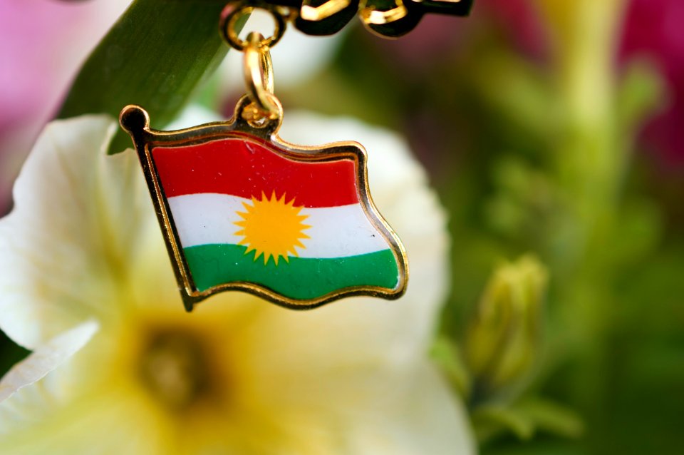 Kurdish flag with flowers 03