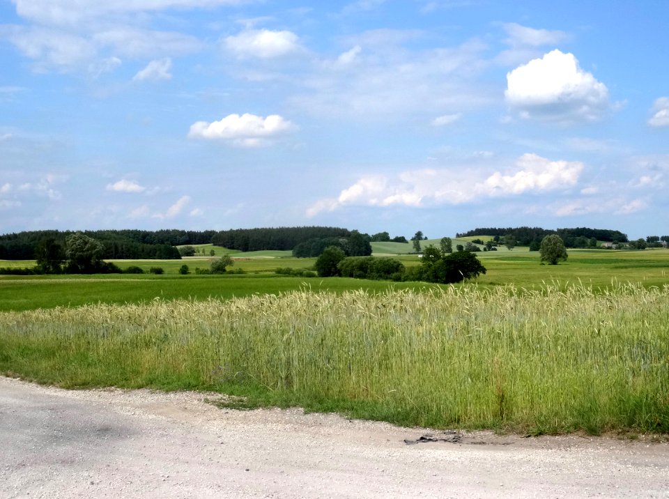 Krajna kWiecborka 3 6-2016