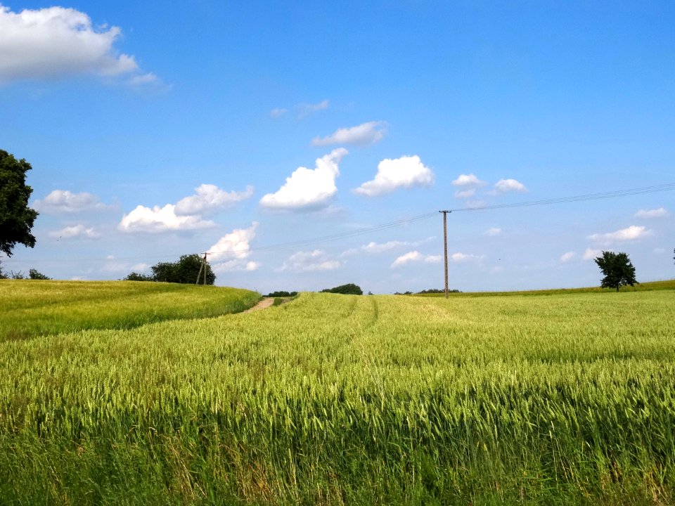 Krajna kWiecborka 1 6-2016