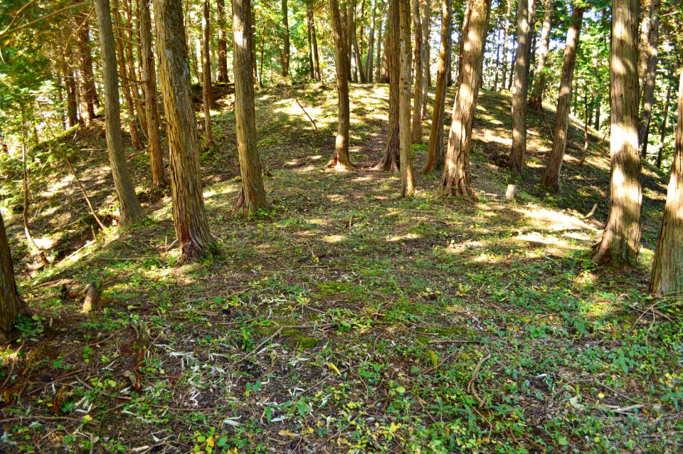 Kurobe Choshiyama Kofun, kouenbu