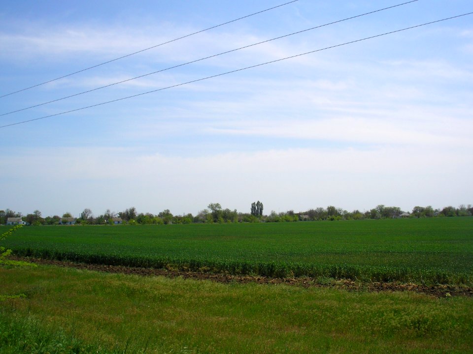 Kuntsevo (Crimea) 3