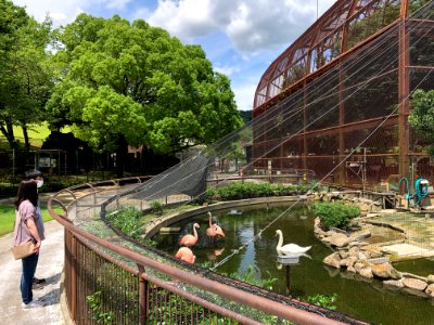 Kuragaike-Park-2