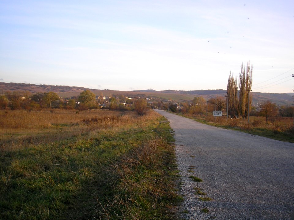 Kurskoe Crimea 5