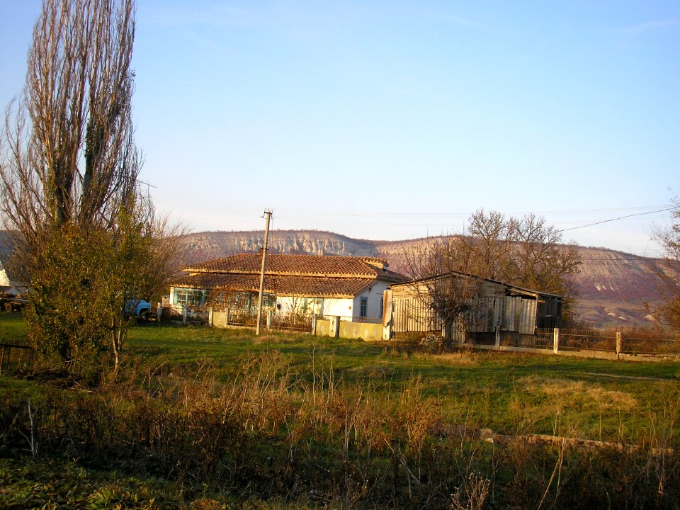Kurskoe old house 8