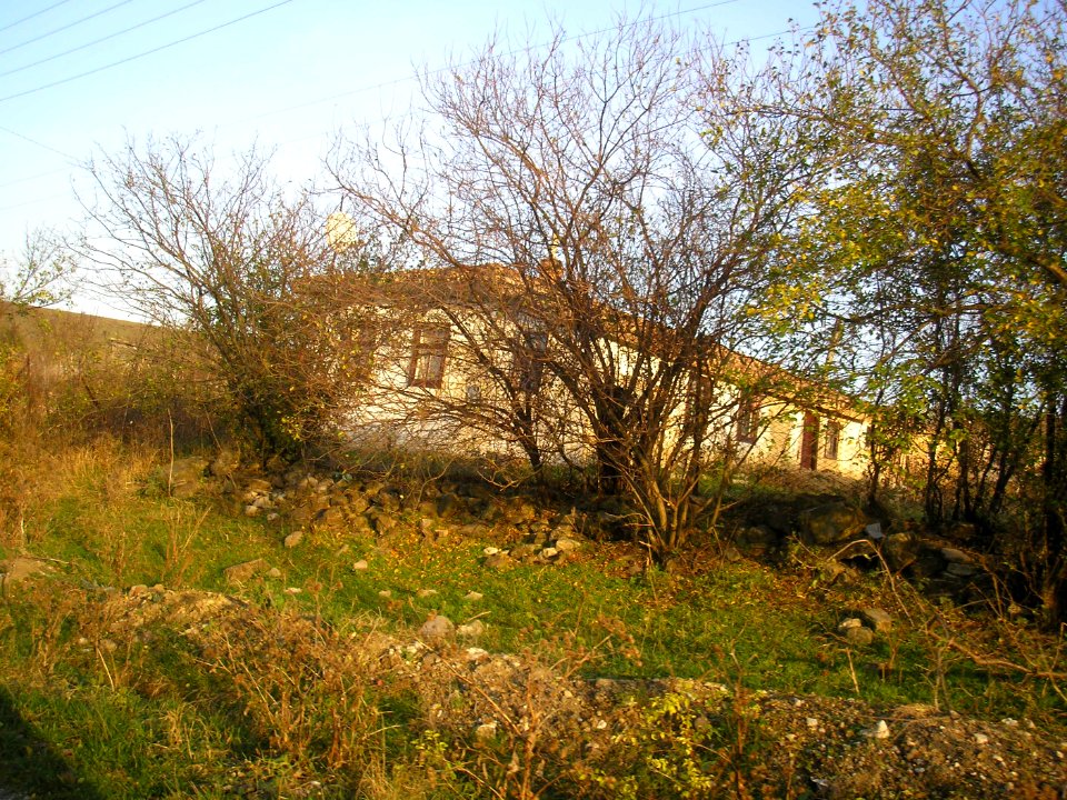 Kurskoe old house 2