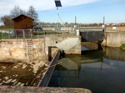 Kraichbach, Abzweig des Kriegbachs am Schneidemühlwehr (9)