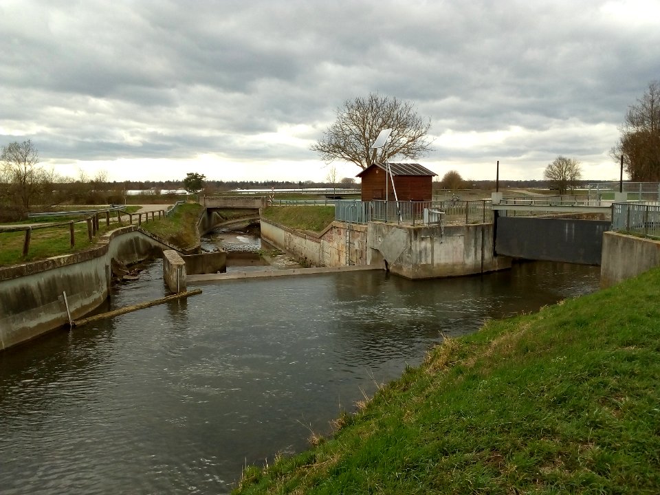 Kraichbach, Abzweig des Kriegbachs am Schneidemühlwehr