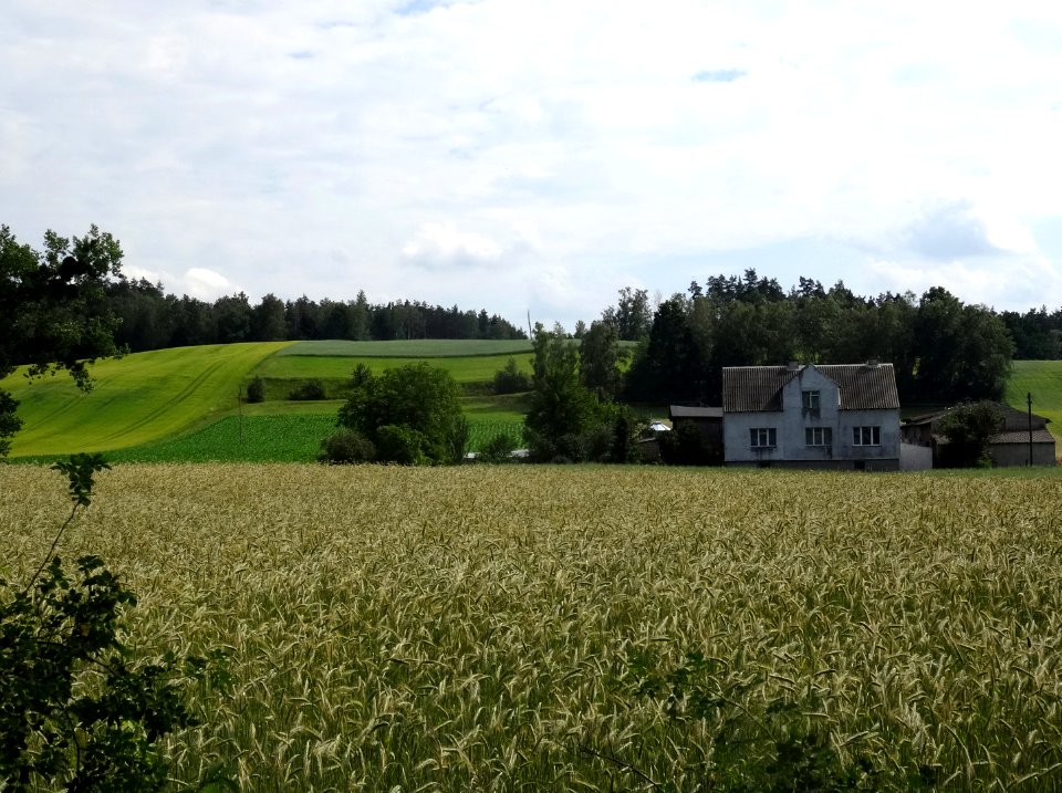 Krajna kWiecborka 6 6-2016