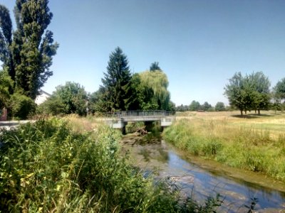 Kraichbach, bei Burg Wersau, Reilingen