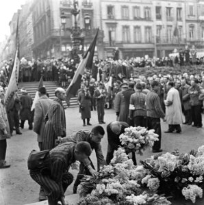 Kranslegging door bevrijde Franse politieke gevangenen op het graf van de Onbeke, Bestanddeelnr 900-2599