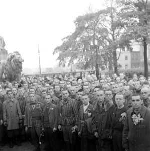 Kranslegging door bevrijde Franse politieke gevangenen op het graf van de Onbeke, Bestanddeelnr 900-2607