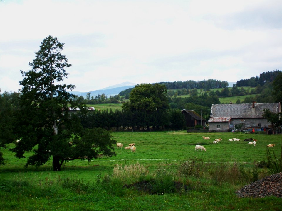 KRALOVEC-CZECHY, AB-113