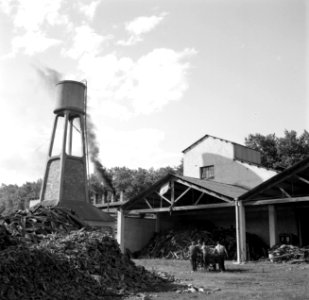 Kurkfabriek in Llagostera, Bestanddeelnr 254-0680