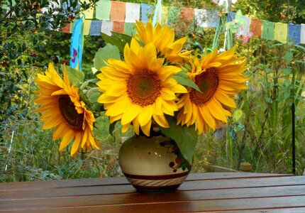 Bouquet of flowers yellow bouquet sunny yellow