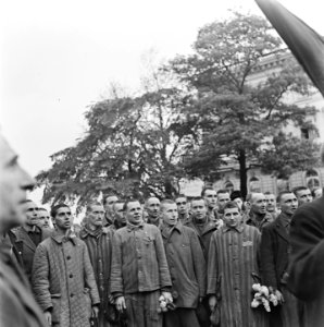 Kranslegging door bevrijde Franse politieke gevangenen op het graf van de Onbeke, Bestanddeelnr 900-2601