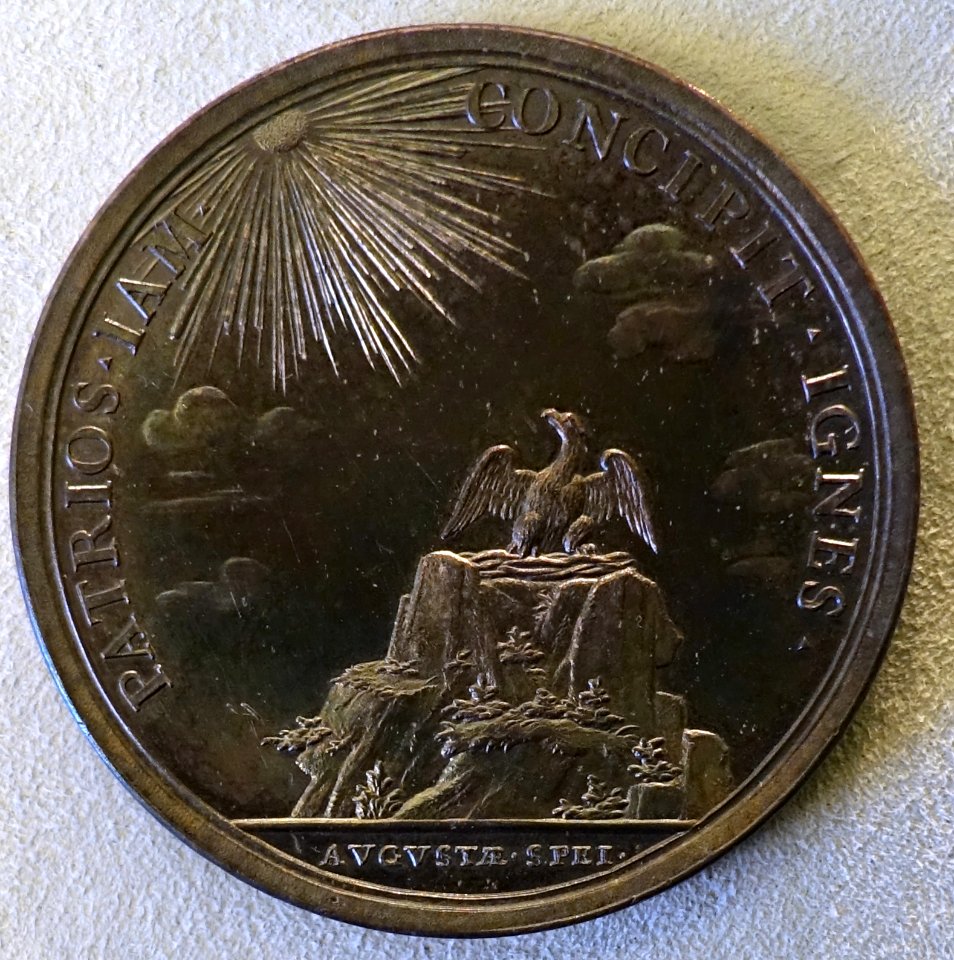 Kurprinz Friedrich Wilhelm (I) von Brandenburg-Prussia, medal by Raimund Falz, undated, perhaps c. 1696 - Bode-Museum - DSC02779