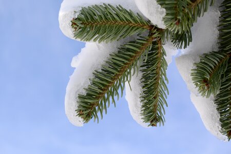 Sky frozen white photo