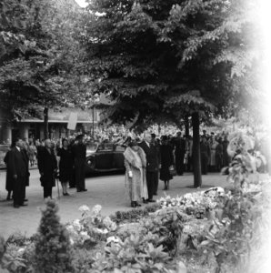 Kranslegging van H.M. Koningin Wilhelmina aan de Apollolaan, rechts waarnemend , Bestanddeelnr 900-4525